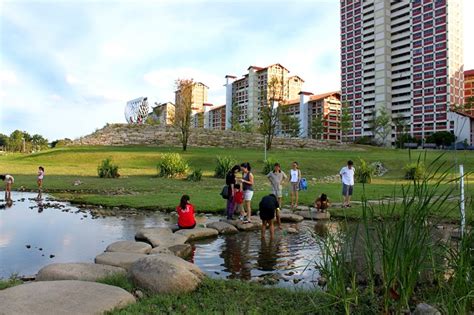 壁山哪個公園好玩?從自然景觀到文化深度，探索壁山的綠意與人文